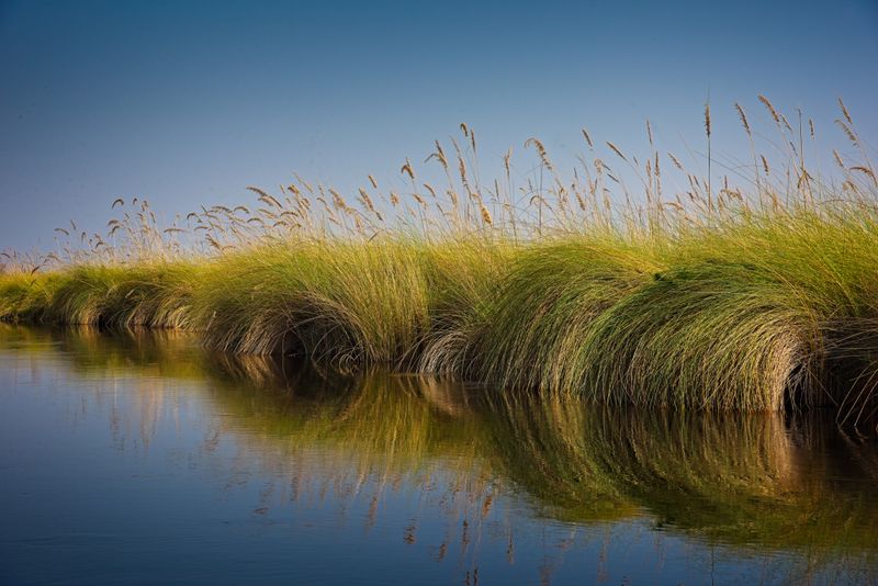 081824 Landscape 3 3 1.jpg