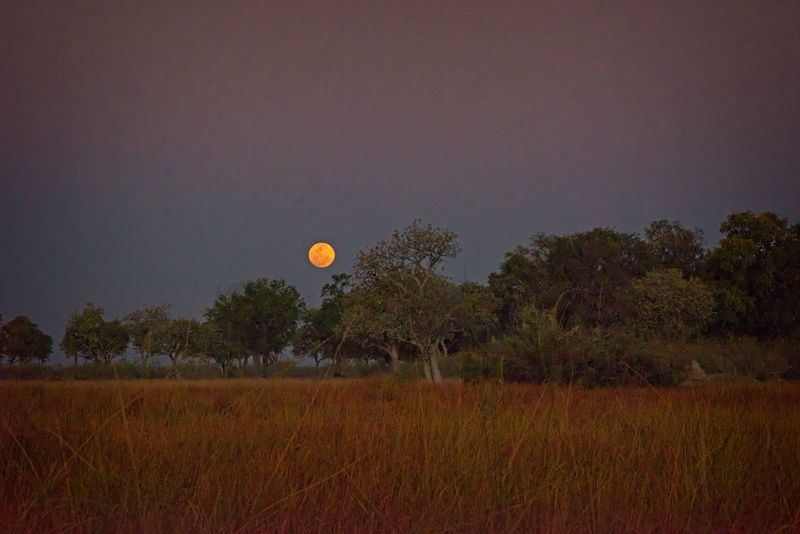 081924 Dusk 5.jpg