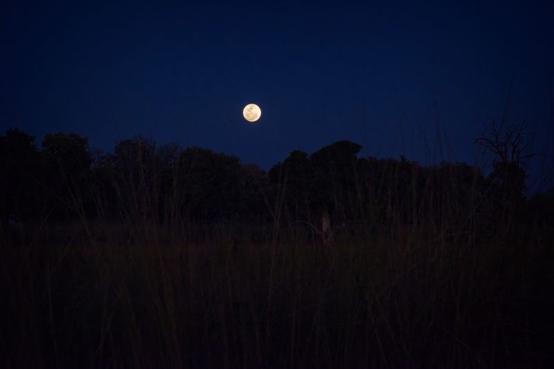 081924 Dusk 6.jpg