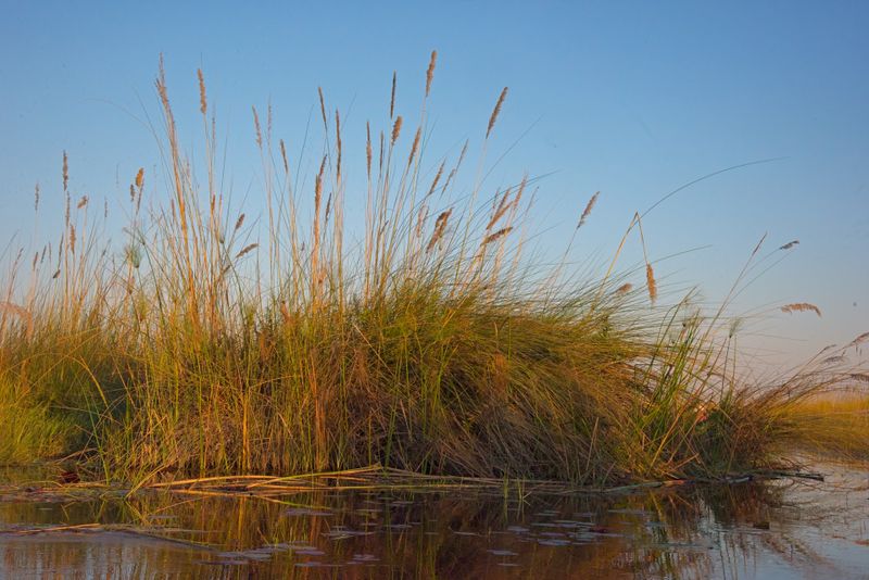 081924 Landscape 3 2.jpg