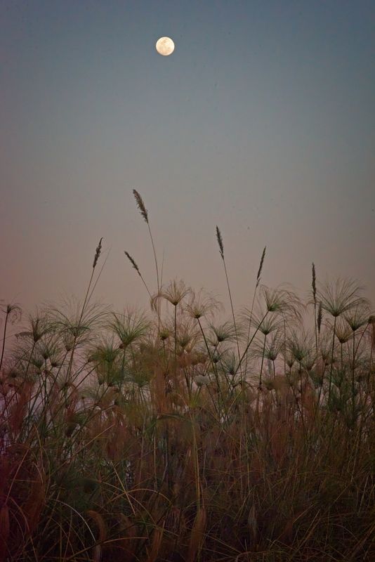 081924 Landscape 3.jpg