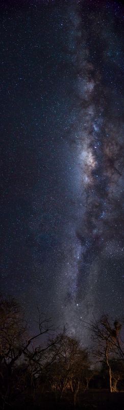 082624 Milky Way and campfire light.jpg