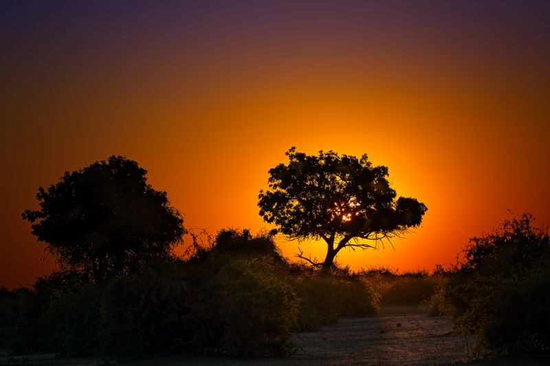 082624 Dusk 2.jpg