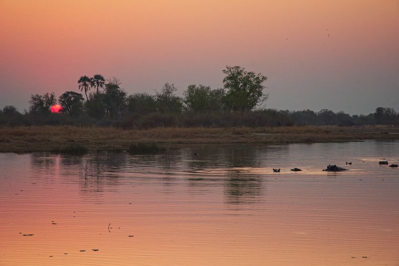 081624 Dusk with hippos.jpg