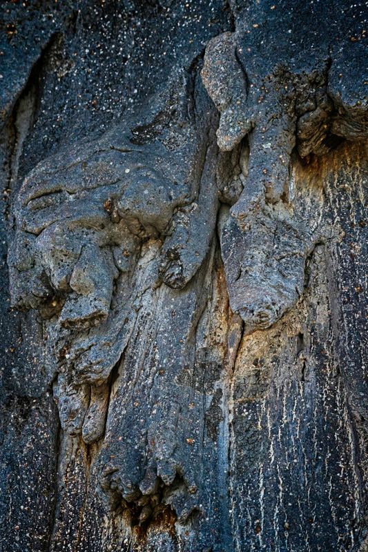 082424 Baobab bark 2.jpg
