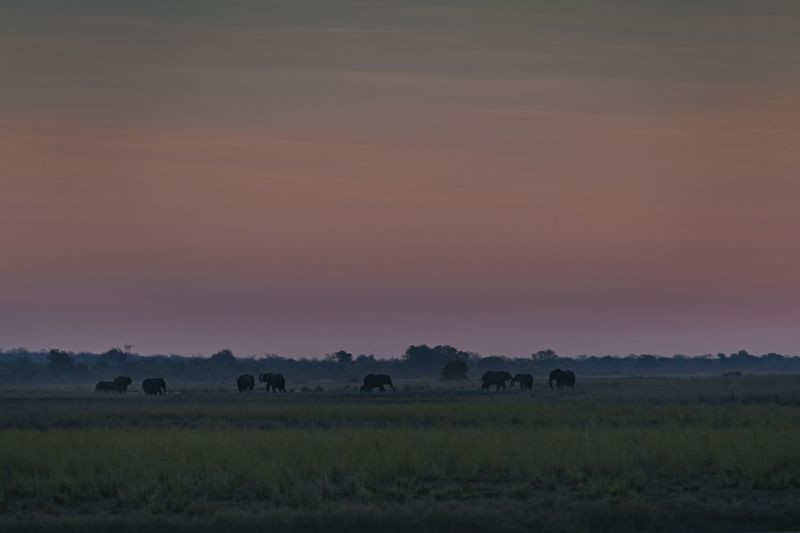 082624 Dusk 21.jpg