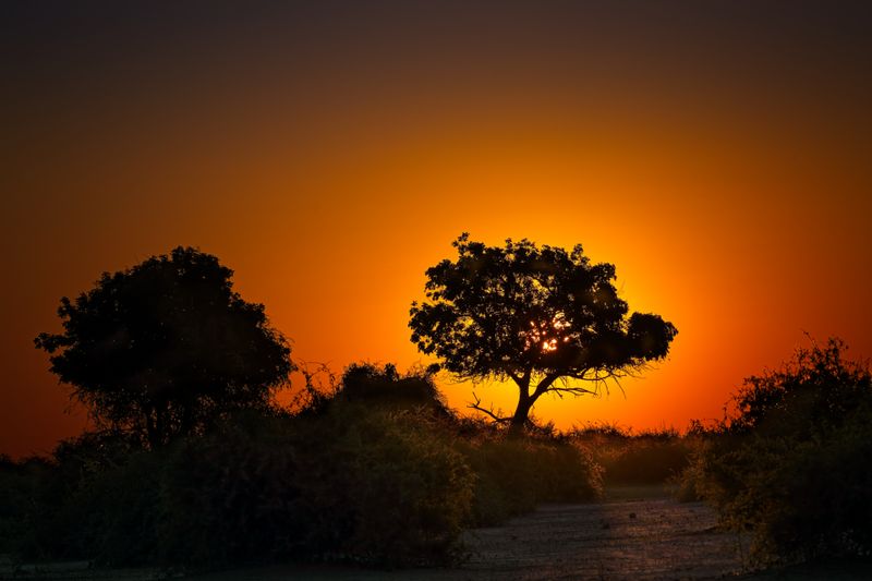 082624 Dusk 2 3.jpg