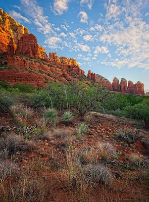 _DSC8253 Pano.jpg