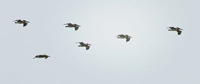 _DSC6305.jpg