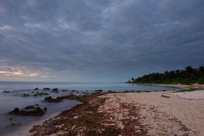 _DSC9350.jpg