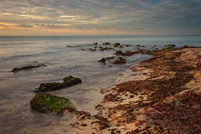 _DSC9378.jpg