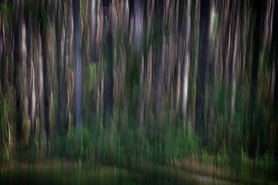 _DSC0143.jpg