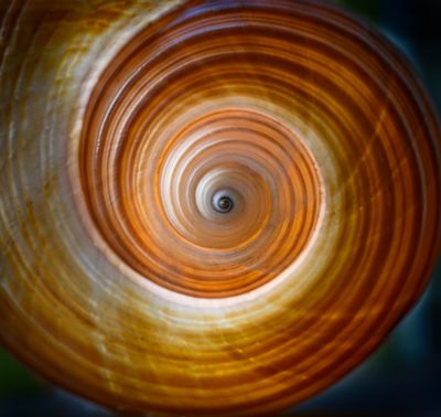 Black hole fractal.jpg