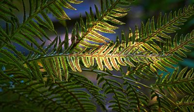_DSC0364.jpg