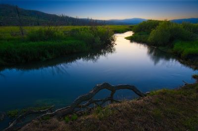 _DSC0318_Focus.jpg