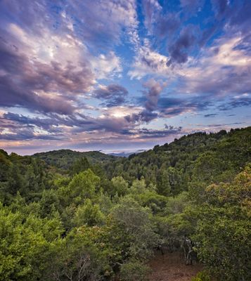 _DSC1847-Pano-396.jpg