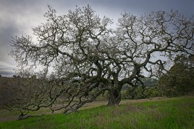 _DSC3209 1.jpg