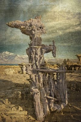 The Apocalyptic Horse 010924a.jpg