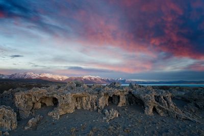 _DSC4647.jpg
