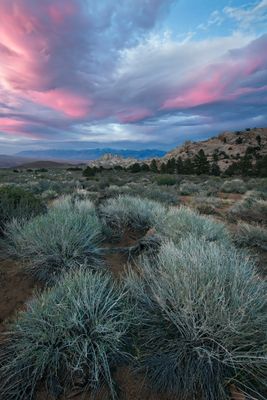 _DSC4904_Focus.jpg