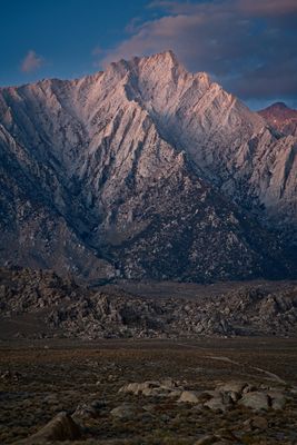 _DSC7987.jpg