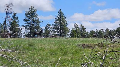 20230527_120126.jpg