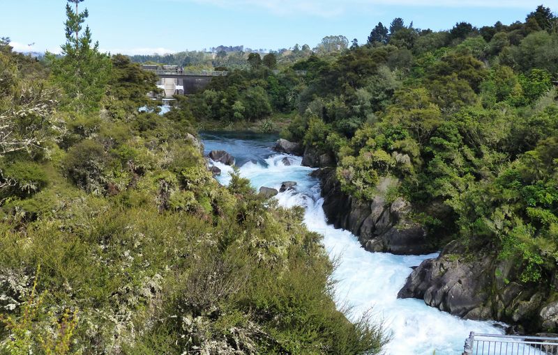 Waikato River, Taupo