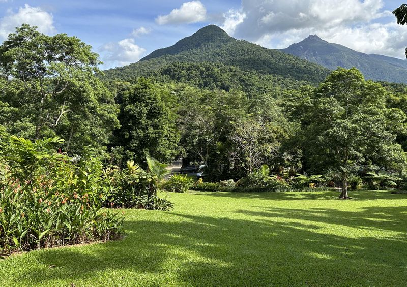 Daintree Rainforest Village, Diwan, QLD