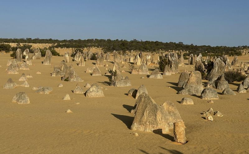 The Pinnacles, Nambung National Park, WA