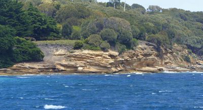 Painted Cliffs, Maria Island, Tas