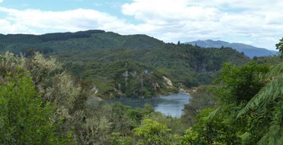Waimangu Volcanic Valley, Rotorua