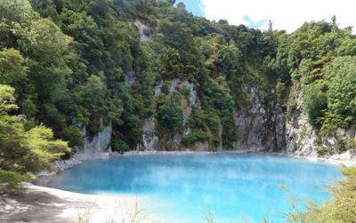 Waimangu Volcanic Valley, Rotorua