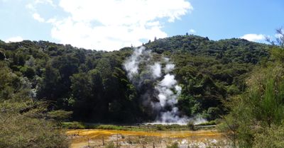 Waimangu Volcanic Valley, Rotorua