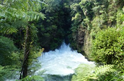 Okere Falls, Rotorua