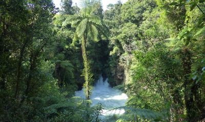 Okere Falls, Rotorua