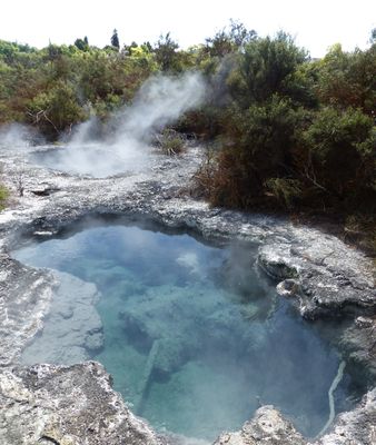 Rotorua
