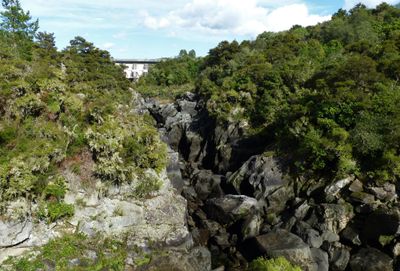 Waikato River, Taupo