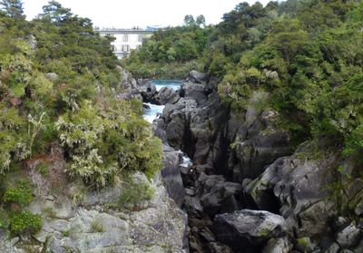 Waikato River, Taupo