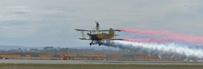 Skycats