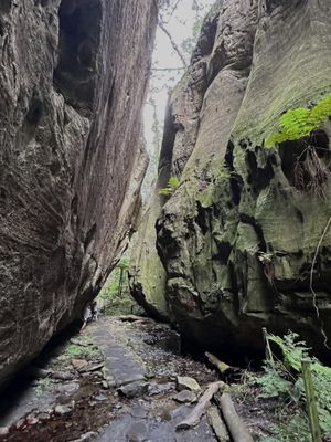 Carnarvon Gorge, QLD
