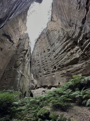 Carnarvon Gorge, QLD
