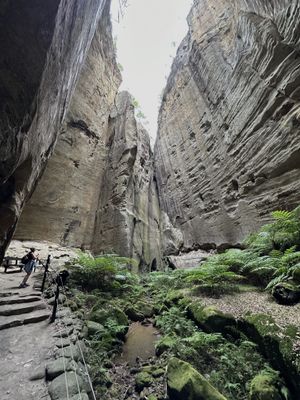 Carnarvon Gorge, QLD