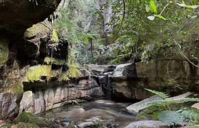 Carnarvon Gorge, QLD