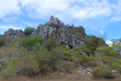 Chillagoe Caves, Chillagoe, QLD