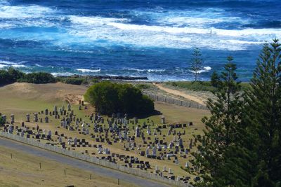 Cemetery, Kingston