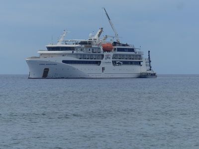 Coral Adventurer, Ulithi Atoll, Micronesia