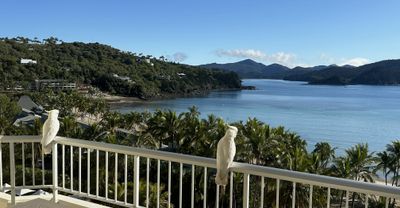 Hamilton Island, QLD