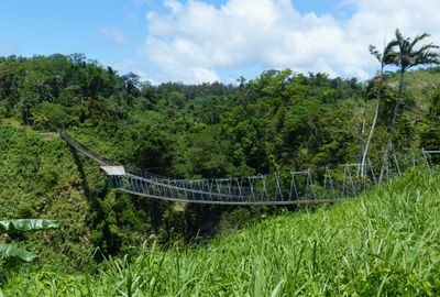 Suspension Sky Bridge, Vanuatu