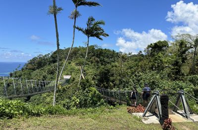 Suspension Sky Bridge, Vanuatu