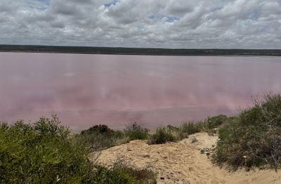 Hutt Lagoon, Gregory, WA